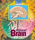 Amazing Brain - Physical Brain