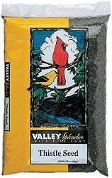ValleySplendorNyjerSeeds