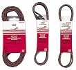 Milwaukee 49-93-8115 1/2 by 18-Inch Aluminum Oxide 60-Grit Belt, 10-pack