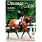 All About Horses