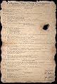 Beer Pong Constitution Subject Poster Print, 24x35