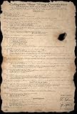 Beer Pong Constitution Subject Poster Print, 24x35