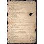 Beer Pong Constitution Subject Poster Print, 24x35