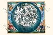 Art Poster, Haemisphaerium Stellatum - 27.5 x 18.75