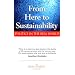From Here to Sustainability: Politics in the Real World