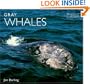 Gray Whales (Worldlife Library)