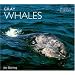 Gray Whales (World Life Library : Nature)