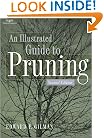 Illustrated Guide to Pruning