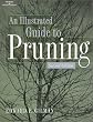 Illustrated Guide to Pruning