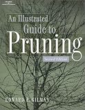 Illustrated Guide to Pruning