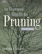 Illustrated Guide to Pruning