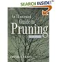 Illustrated Guide to Pruning