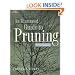 Illustrated Guide to Pruning