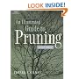 Illustrated Guide to Pruning