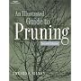 Illustrated Guide to Pruning