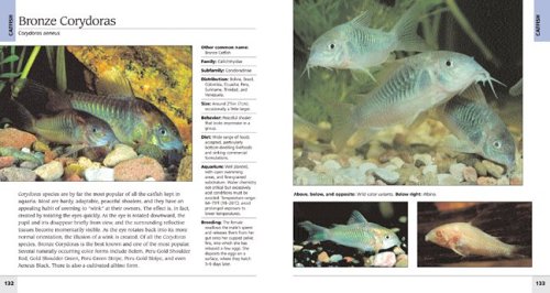 500 Freshwater Aquarium Fish: A Visual Reference to the Most Popular Species under Field Guides in The Books Store