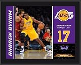 Andrew Bynum Sublimated 10x13 Plaque | Details: Los Angeles Lakers