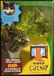 Video Catnip