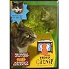 Video Catnip -- DVD