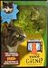 Video Catnip -- DVD,-1