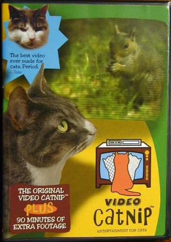 Kitchen: Video Catnip
