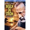 Inseln im Strom
