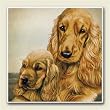 AbsorbaStone Coaster set~ Golden English Cocker Spaniel ~4 Tile Drink Coaster...