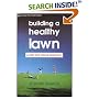 Building a Healthy Lawn: A Safe and Natural Approach