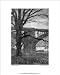 Washington Bridge - Fine Art Print [8x10] Early 1900s New York