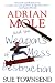Adrian Mole and the Weapons of Mass Destruction (Adrian Mole Diaries)