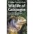 Wildlife of the Galapagos (Traveller's Guide)