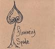 Flowering Spade