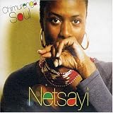 Netsayi - Chimurenga Soul