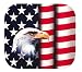 Fellowes(R) Decorative Mouse Pad, Flag/Eagle