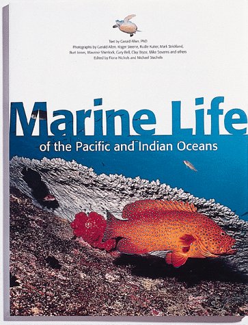 Childrens Toyshop  Books : Periplus Action Guide: Diving South East Asia (Periplus action guides)