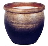 コゲ窯変めだか鉢 14号 信楽焼 水鉢