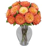 One Dozen Sundaze Roses with Hourglass Vase