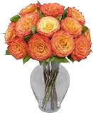 One Dozen Sundaze Roses with Hourglass Vase