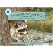 Raccoon at Clear Creek Road (Smithsonian's Backyard)