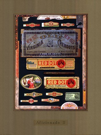 Aficionado II Poster by Robert Garner (18.00 x 24.00)