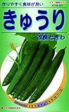 カネコ種苗 野菜タネ501 きゅうり 改良ときわ 10袋セット