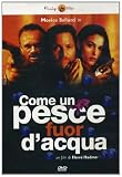 Come Un Pesce Fuor D`Acqua