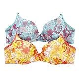 yTriumph(gv)zXM[zbgT}[014uW[(C.D Cup)