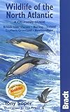 Wildlife of the North Atlantic : a cruising guide
