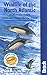 Wildlife of the North Atlantic: A Cruising Guide (Bradt Wildlife Guides)
