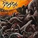 Disgorge-Parallels of Infinite Torture