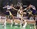 Larry Bird Autographed/Hand Signed Boston Celtics 16x20 Photo