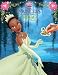 The Princess and the Frog Reusable Sticker Book