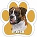 Boxer Car Magnet With Unique Paw Shaped Design Measures 5.2 by 5.2 Inches Covered In UV Gloss For Weather Protection