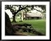 Johnson Homestead, LBJ National Historic Park, Johnson City, Texas, USA Framed Art Poster Print by Adam Jones, 39x31